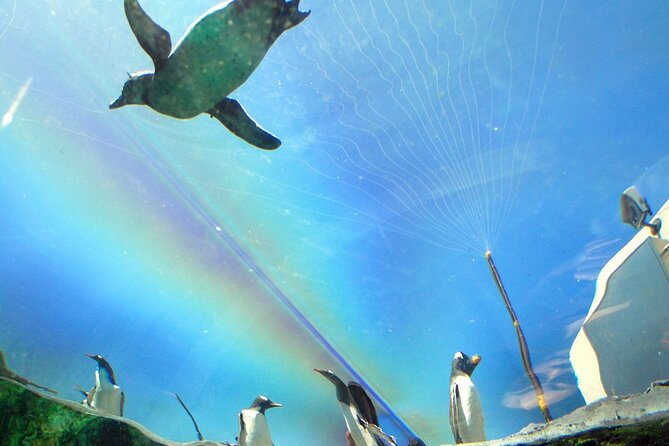 Hokkaido Asahiyama Zoo,Furano and Biei English/Chinese Bus Tour - Tour Highlights: Furano and Biei