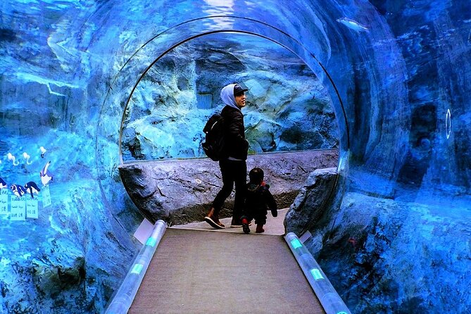 Hokkaido Asahiyama Zoo,Furano and Biei English/Chinese Bus Tour - Tour Itinerary and Schedule