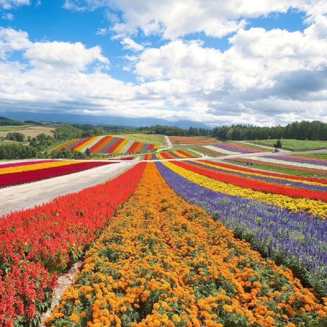 Hokkaido: Biei Blue Pond and Furano Flower Farm Day Trip - Shirogane Blue Pond Visit
