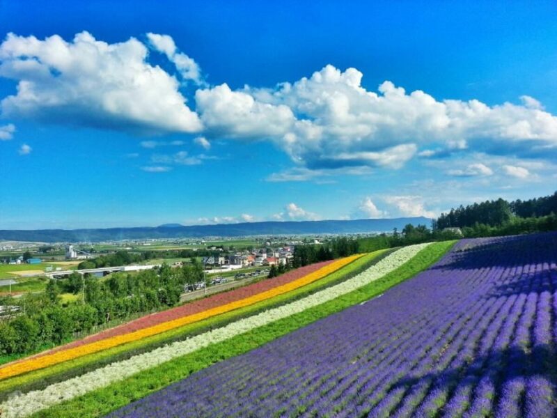 Hokkaido: Biei Blue Pond and Furano Flower Farm Day Trip - Furano Exploration