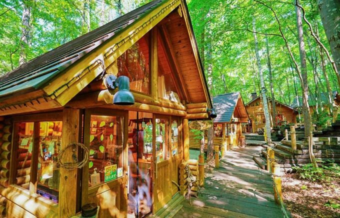 Hokkaido: Biei Blue Pond, Furano Flower Fields 1-Day Trip - Forest Fairy Terrace