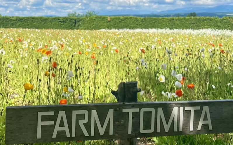 Hokkaido: Biei Furano One-Day Tour (Lunch & Melons Option) - Highlights of the Tour