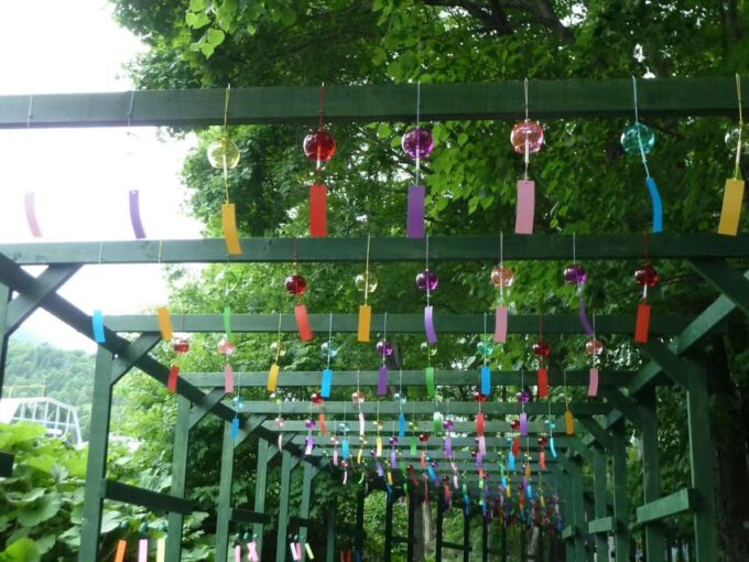 Hokkaido: Biei Furano One-Day Tour (Lunch & Melons Option) - Itinerary for the Day
