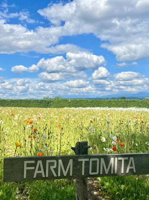 Hokkaido: Biei Furano One-Day Tour (Lunch & Melons Option) - Participants and Restrictions