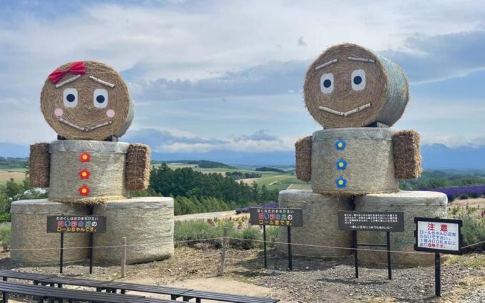 Hokkaido: Biei Furano One-Day Tour (Lunch & Melons Option) - Frequently Asked Questions