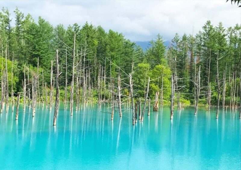 Hokkaido Biei Green Pond and Furano Flower Sea | Day Tour - Tour Duration