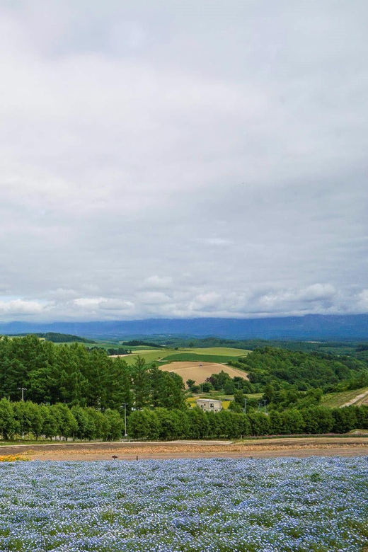 Hokkaido Biei Green Pond and Furano Flower Sea | Day Tour - Participant Details