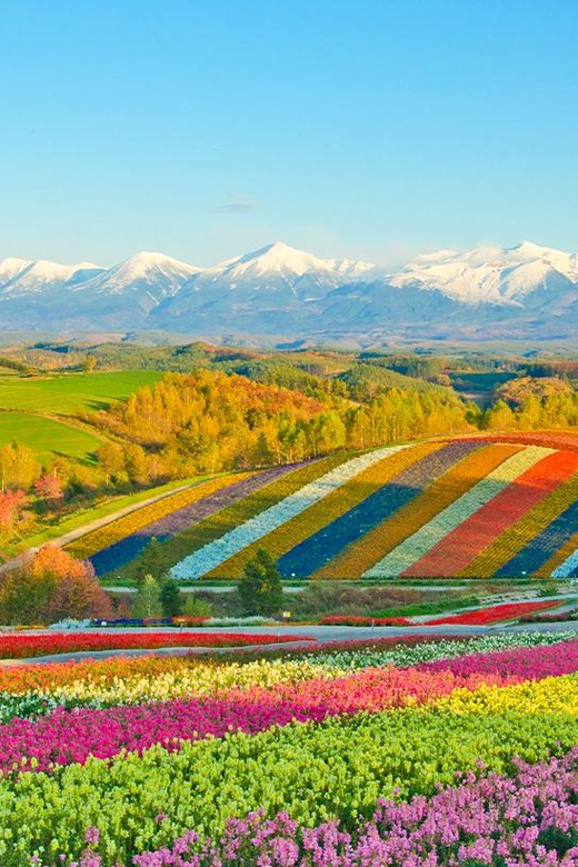 Hokkaido: Blue Pond of Biei, Flower Fields, Ningle Terrace Trip - Key Points