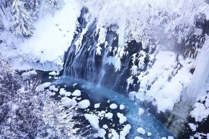 Hokkaido Day Tour From Sapporo: Asahiyama Zoo, Blue Pond Japan - Cancellation Policy