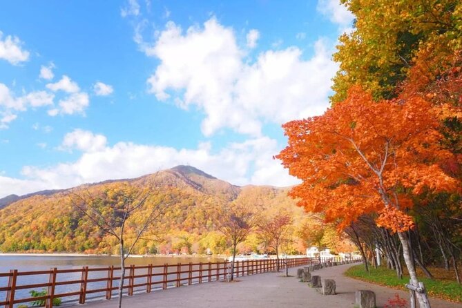 Hokkaido Day Tour From Sapporo: With Bear Park Option - Booking and Cancellation