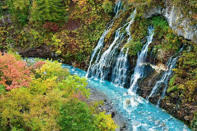 Hokkaido Day Trip From Sapporo: Asahiyama Zoo to Ningle Terrace - Itinerary Details