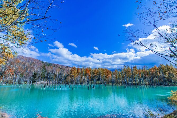 Hokkaido Day Trip From Sapporo Biei, Aoike, Furano Sea of Flowers - Key Points