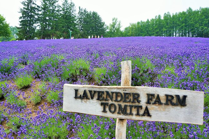 Hokkaido Day Trip From Sapporo Biei, Aoike, Furano Sea of Flowers - Meeting Point and Pickup Details
