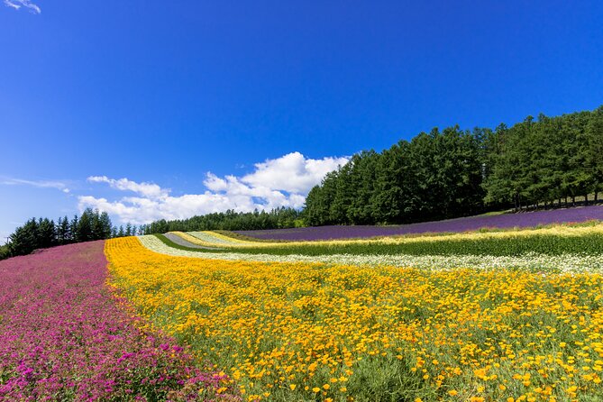 Hokkaido Day Trip From Sapporo Biei, Aoike, Furano Sea of Flowers - Booking and Cancellation Policy