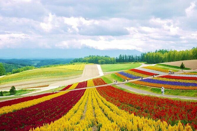 Hokkaido Farm Tomita Shikisai Hill Waterfall& Blue Pond Day Tour - Who Will Enjoy This Tour?