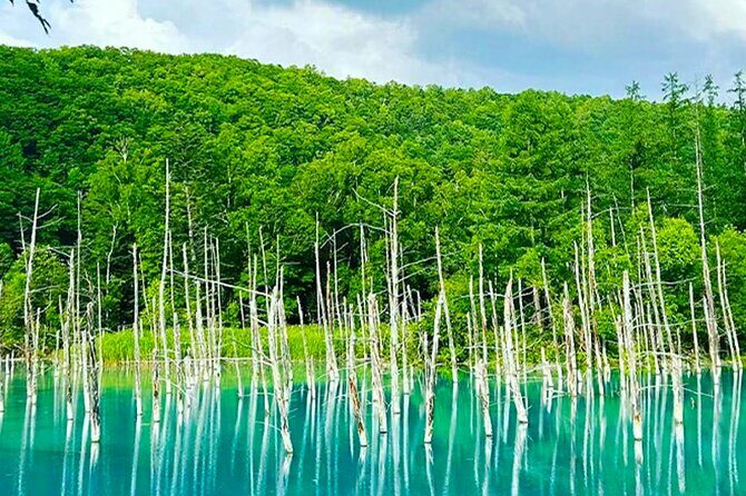 Hokkaido Farm Tomita Shikisai Hill Waterfall& Blue Pond Day Tour - FAQ