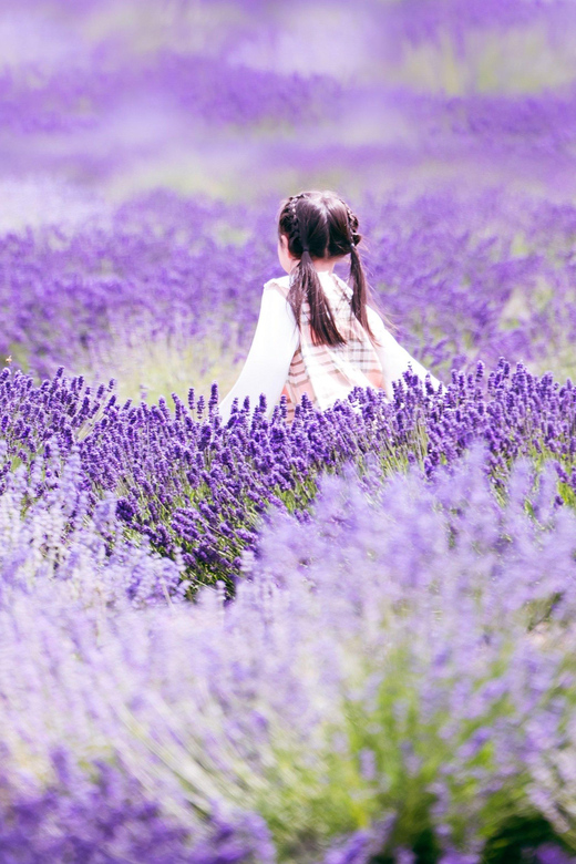Hokkaido Furano Day Tour - Booking Information