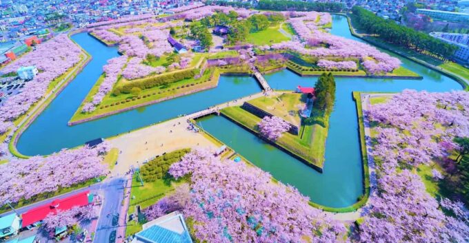 Hokkaido Hakodate 2D1N Cherry Blossoms Bus Tour From Sapporo - FAQ