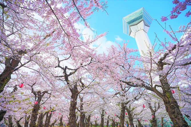 Hokkaido Hakodate Cherry Blossom 2D1N Bus Tour From Sapporo - Meeting and End Points