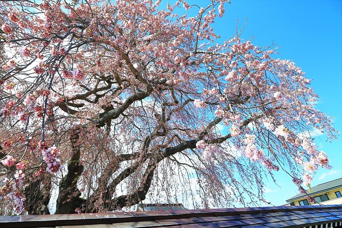 Hokkaido Hakodate Cherry Blossom 2D1N Bus Tour From Sapporo - Getting to the Meeting Point