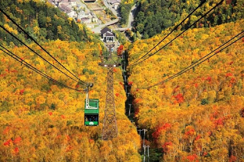 Hokkaido: Kurodake Ropeway, Asahiyama Zoo Autumn Leaves Tour - Key Points