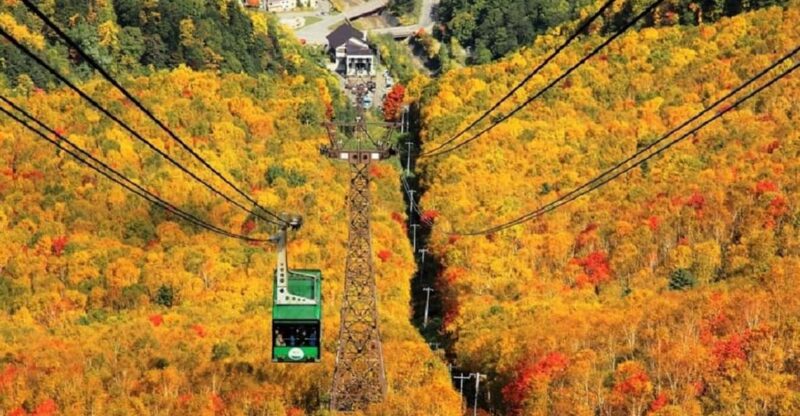 Hokkaido: Kurodake Ropeway, Asahiyama Zoo Autumn Leaves Tour - Inclusions and Exclusions