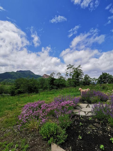 Hokkaido Nature and Gourmet Experience (near Lake Toya) - Pricing and Booking
