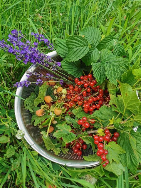 Hokkaido Nature and Gourmet Experience (near Lake Toya) - Scenic Hilltop Property