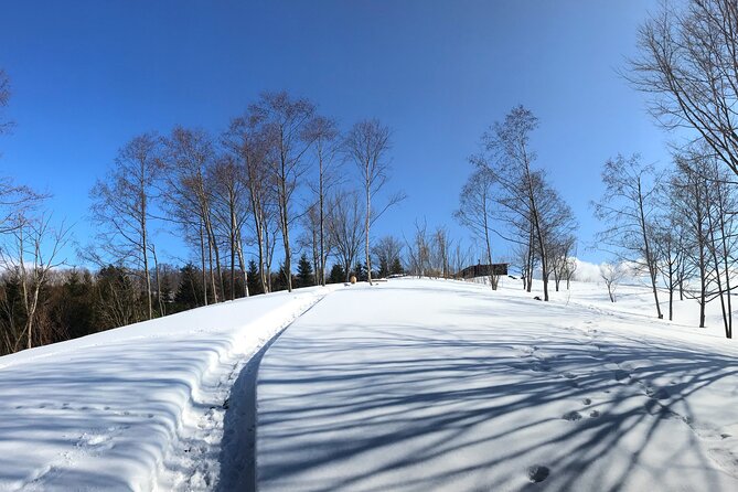 Hokkaido Nature and Gourmet Experience Near Lake Toya - Pickup and Meeting Details