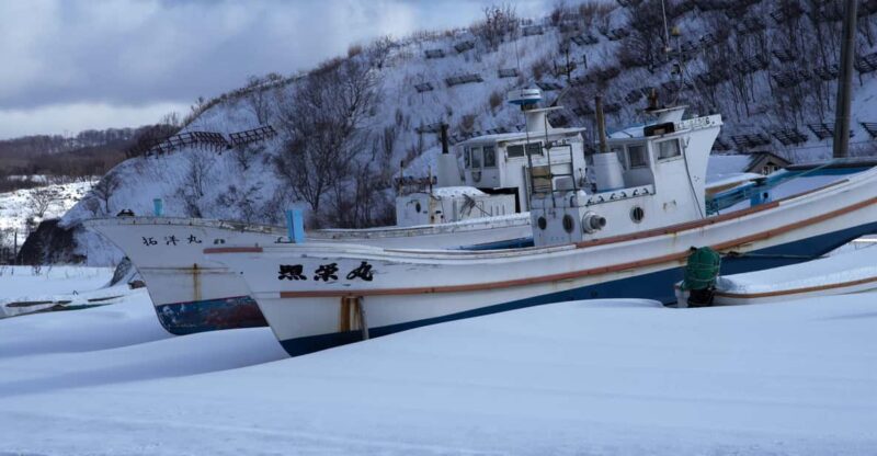 Hokkaido Niseko Ski Day Tour - Pickup and Transportation