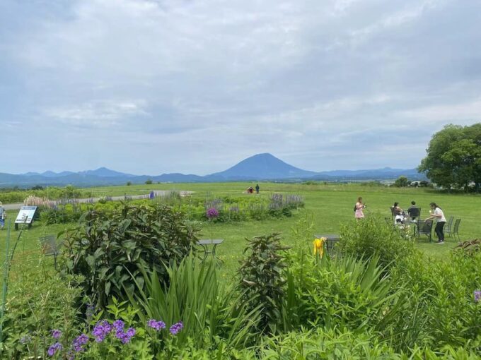 Hokkaido: Noboribetsu Lake Toya Day Tour From Sapporo - Showa Shinzan Bear Ranch