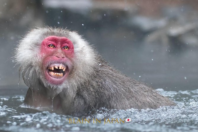 Hokkaido Photo Tour & Workshop-9 Day Tour-February 1-9 - What to Bring