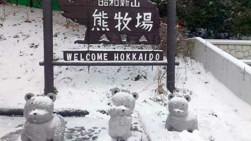 Hokkaido Seasonal: Lake Toya & Noboribetsu Jigokudani Valley - Exploring Hokkaido’s Winter Magic: The Itinerary Breakdown