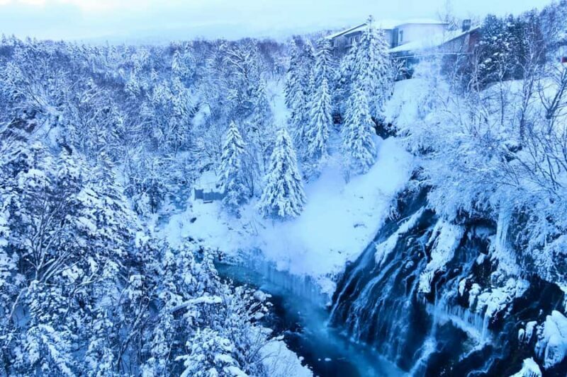Hokkaido Tour: Snowy Landscapes & Polar Animals & Waterfalls - Lunch: A Taste of Local Cuisine