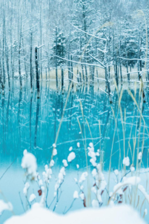 Hokkaido Winter Asahiyama Zoo, Enchanting Blue Pond Day Tour - Accessibility and Flexibility