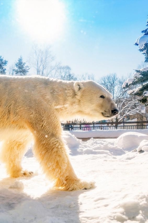Hokkaido:Asahiyama Zoo, Shirahige Falls & Biei Pond Day Tour - Asahiyama Zoo