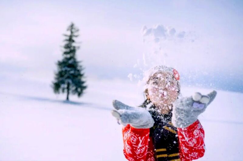 Hokkaido:Asahiyama Zoo, Shirahige Falls & Biei Pond Day Tour - Biei Blue Pond