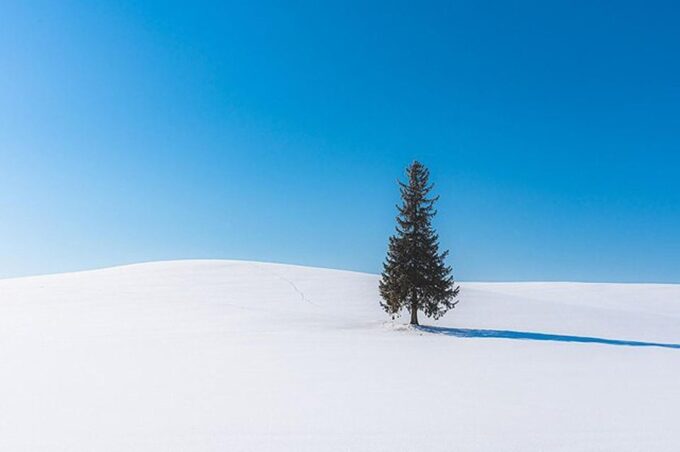 Hokkaido:Asahiyama Zoo, Shirahige Falls & Biei Pond Day Tour - Frequently Asked Questions