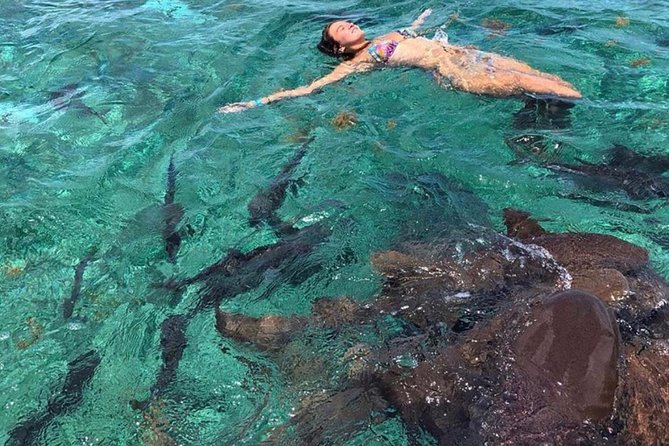 Hol Chan Full-Day Bucket List Snorkeling and Marine Life Tour - Guest Experiences