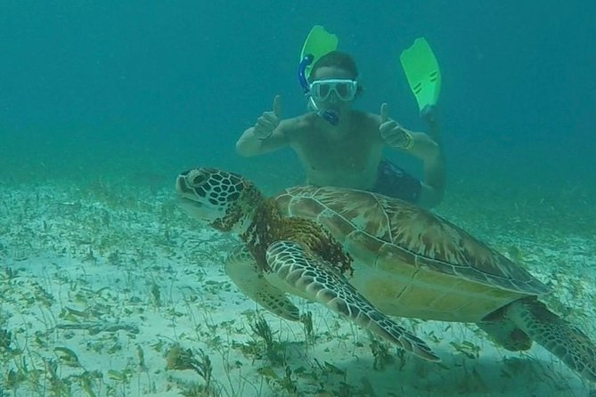 Hol Chan Full-Day Bucket List Snorkeling and Marine Life Tour - Tips and Recommendations