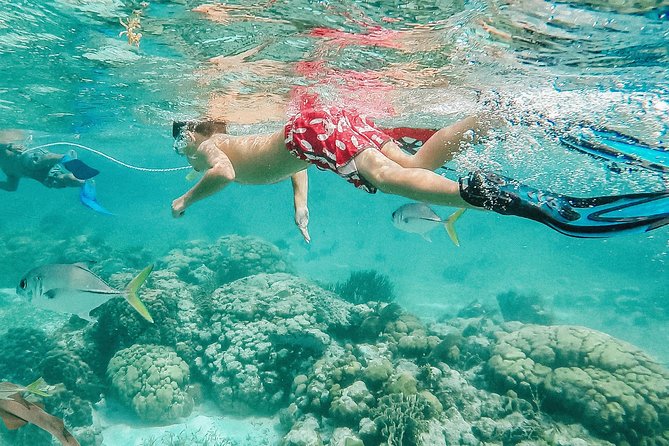 Hol Chan Marine Reserve Snorkel and Caye Caulker Tour 40 Sirena Azul Sailboat - Guest Reviews and Feedback