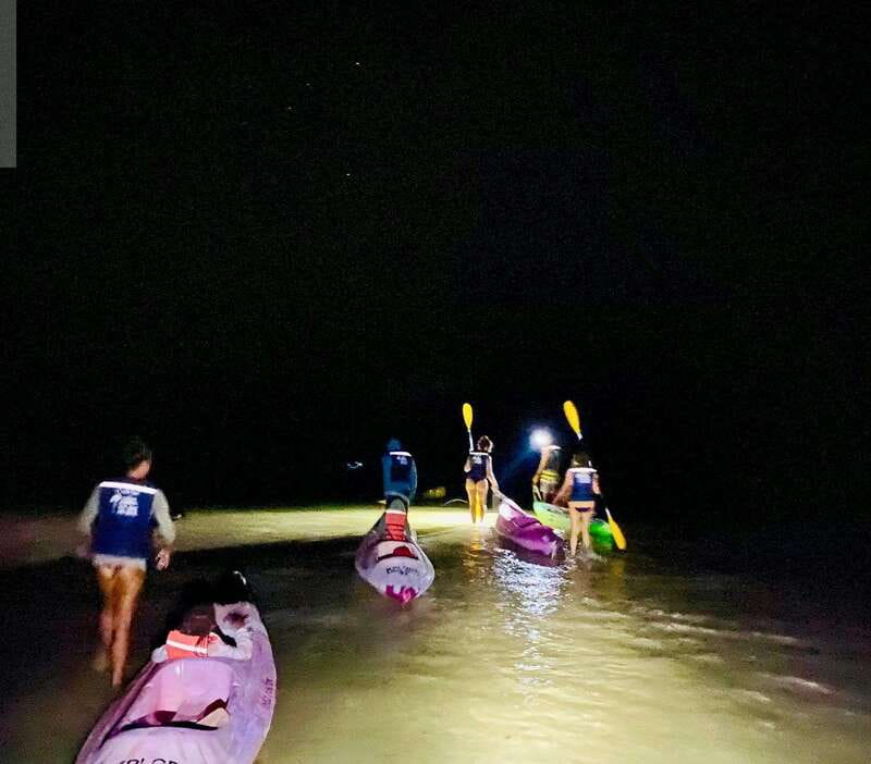Holbox: Bioluminescence in Kayaking - Itinerary and Experience