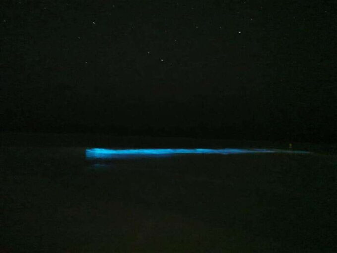 Holbox: Bioluminescence in Kayaking - Frequently Asked Questions