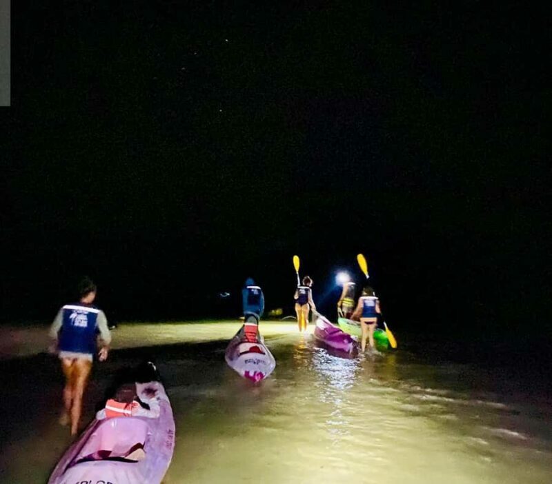 Holbox: Bioluminescence Kayaking and Stargazing - An Introduction to the Experience