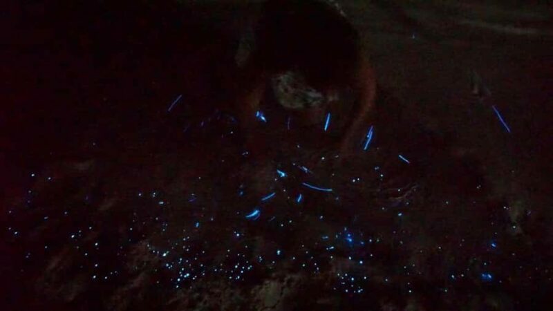 Holbox: Bioluminescence Kayaking and Stargazing - Real Traveler Insights