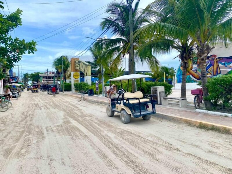 Holbox Ferry+Punta Mosquito From Playa Del Carmen - Activities and Highlights