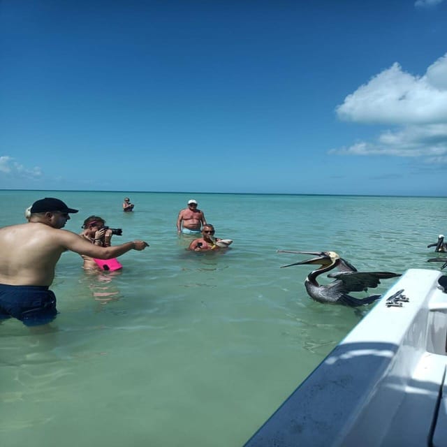 Holbox - Fishing & Snorkel in Cabo Catoche With Lunch - Key Points