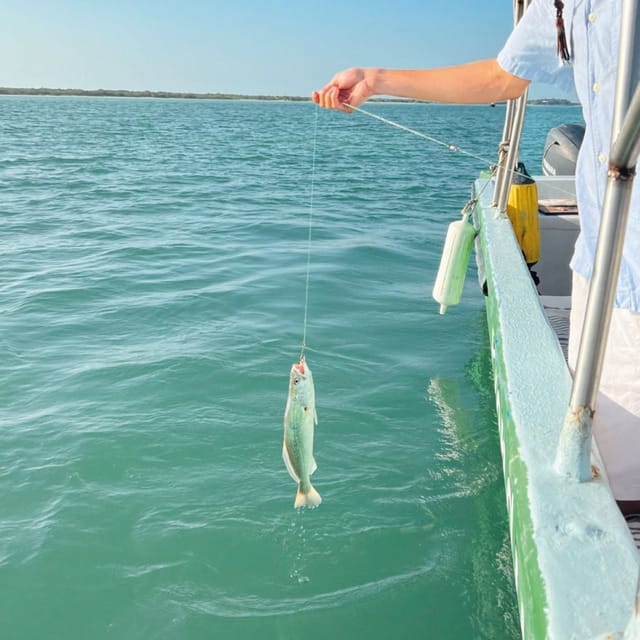 Holbox - Fishing & Snorkel in Cabo Catoche With Lunch - Lunch and Ceviche
