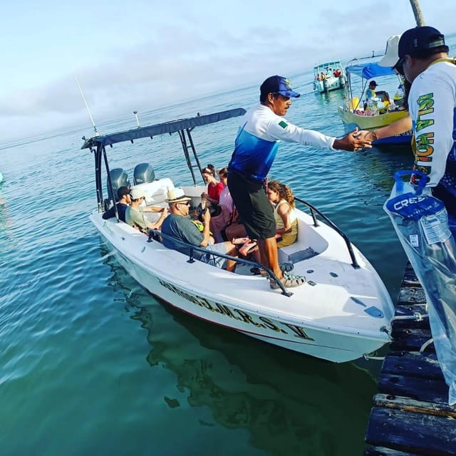 Holbox - Fishing & Snorkel in Cabo Catoche With Lunch - Flamingo Viewing