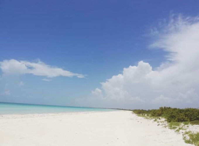 Holbox - Fishing & Snorkel in Cabo Catoche With Lunch - Customer Feedback